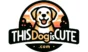 ThisDogIsCute.com - your guide to make your dog healthy and happy
